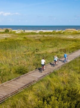 people biking on a train
