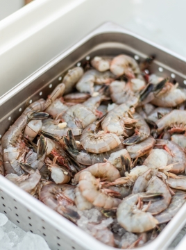 sea food