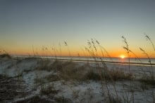 beach with grass