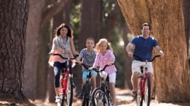 A family of four bike through a forest.