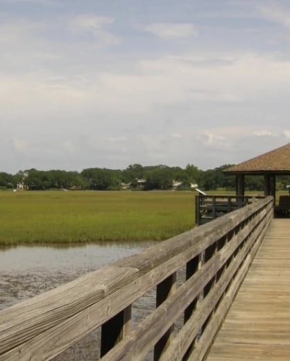 How Hilton Head Island Took My Phone, And Gave Me a Little Peace in Return