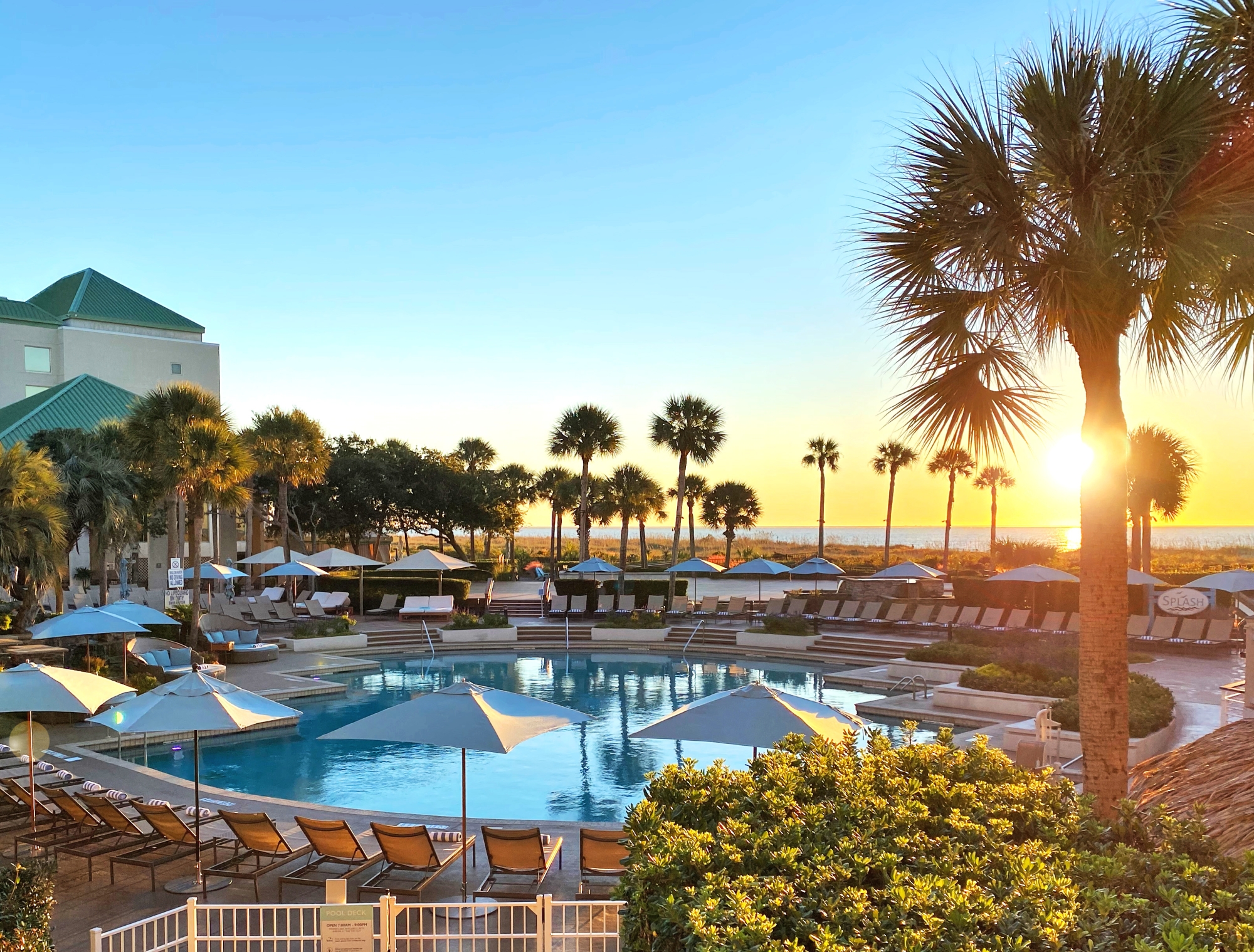 westin pool with umbrellas and palm trees