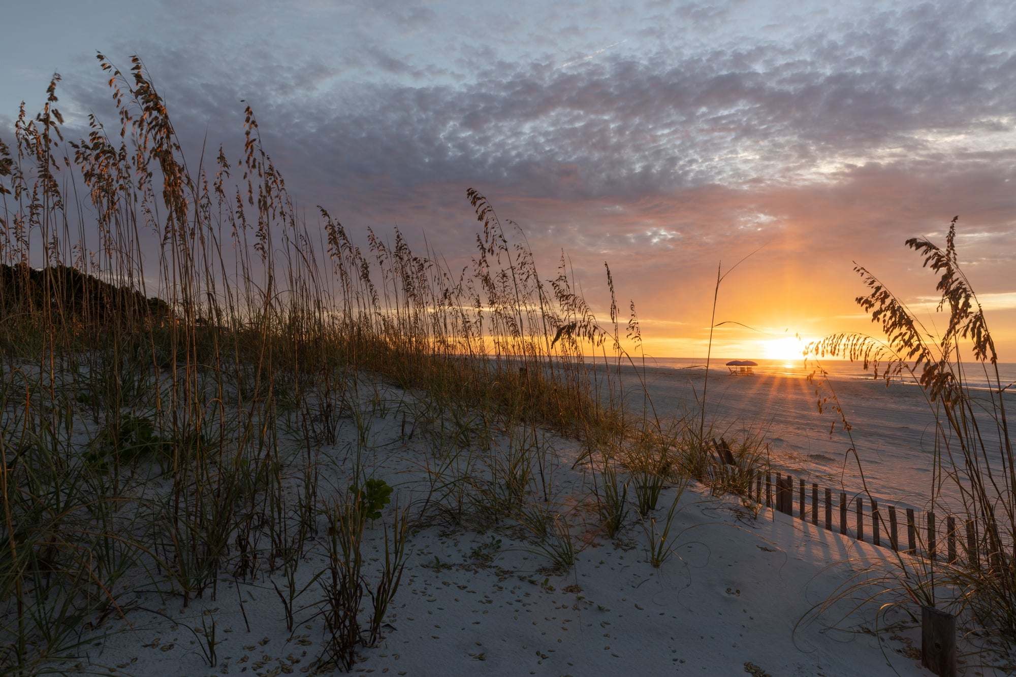 Beach Sunrise