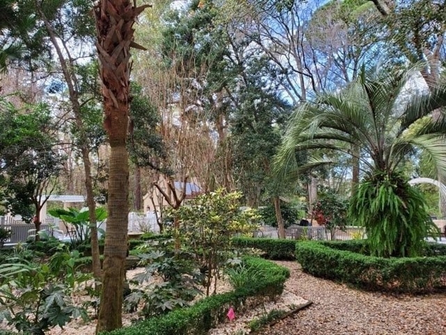 Britelife tree area