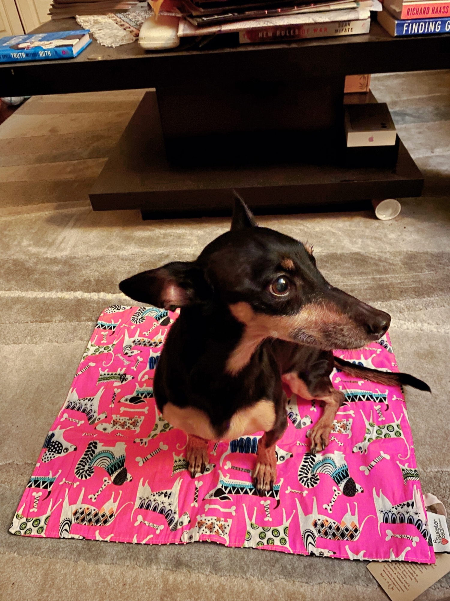 Great for furry friends.