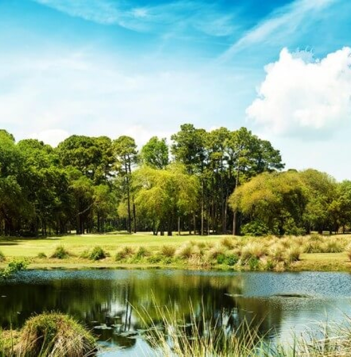 Hilton Head Island Golf Courses Hilton Head Island