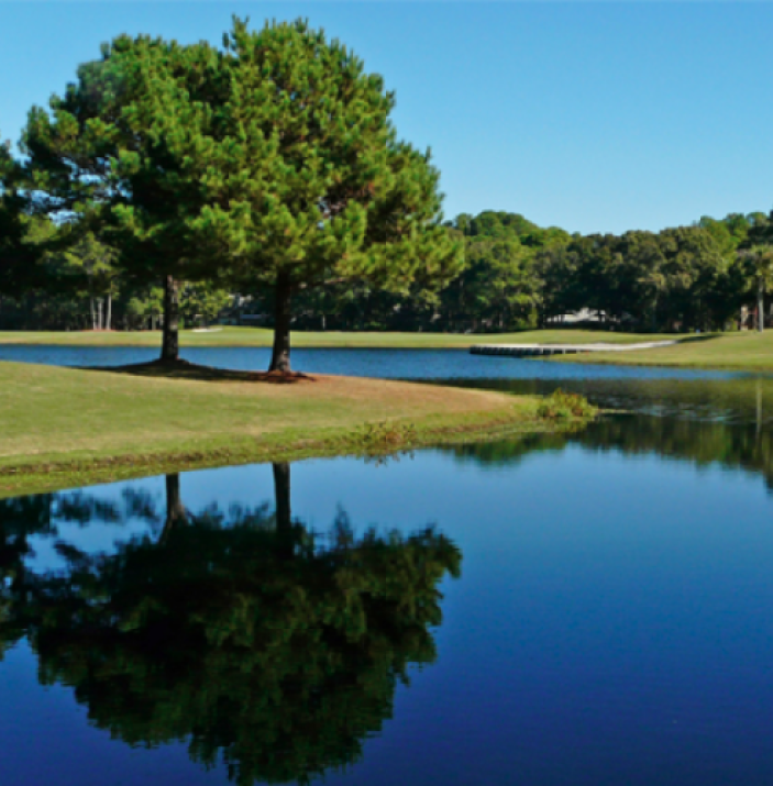 Shot of the golf course water feature