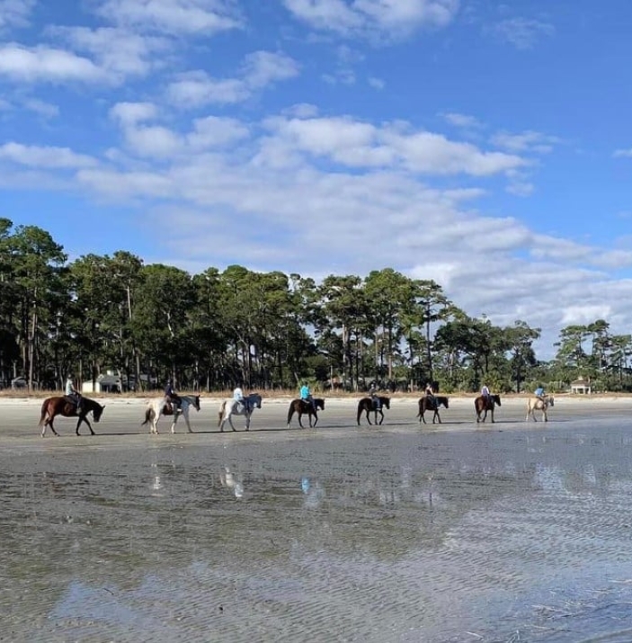 Horses