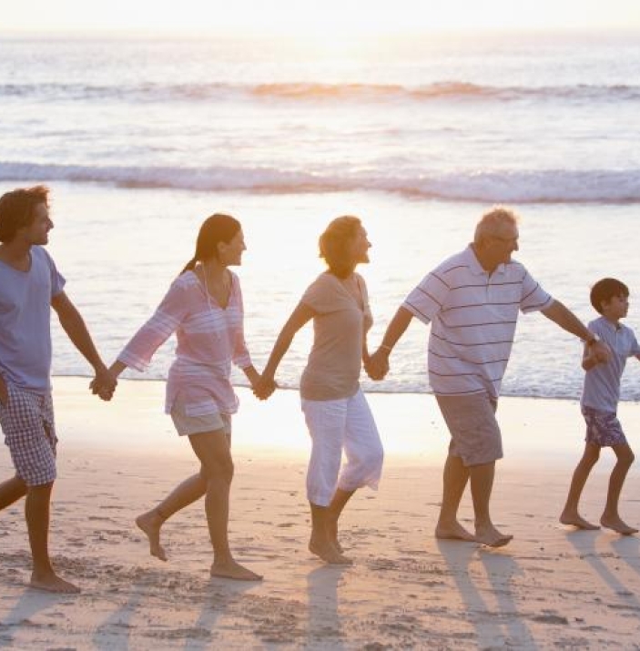 Family holding hands