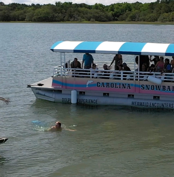 Tours Hilton Head Island